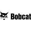 Bobcat